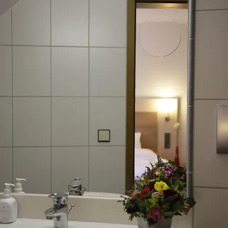 Hotel Krone Am Fluss - 3*