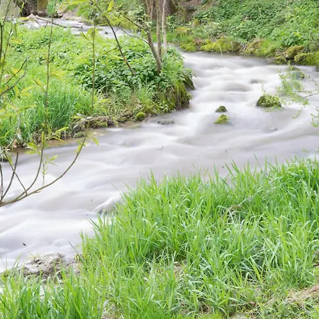 Krone Am Fluss -