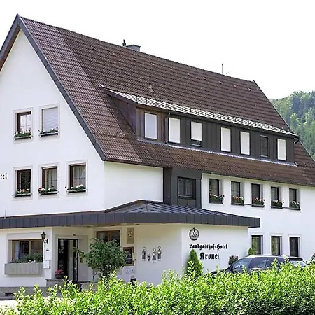 Hotel Krone Am Fluss - 3*